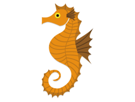 タツノオトシゴ