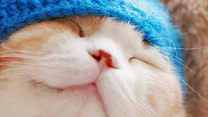 Daily Planets 特別寄稿 稲田豊史 ドラえもん と四十路男の15年 The ドラえもん展に想う The Book Project 夜間飛行 受信箱に本が届く