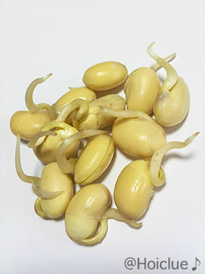 豆もやし 豆もやし