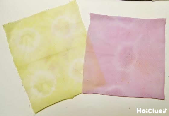 お花で染め物〜火を使わずに楽しめる染色あそび〜 お花で染め物〜火を使わずに楽しめる染色あそび〜