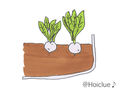 イラスト5 イラスト5