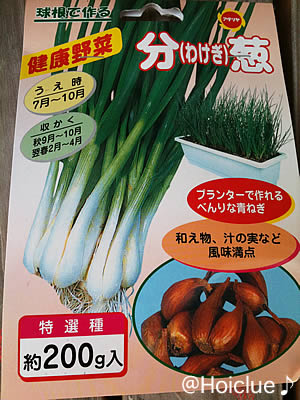 分葱 分葱