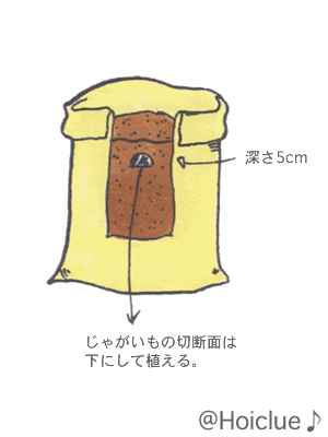イラスト4 イラスト4