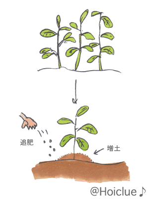 イラスト5 イラスト5