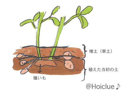 イラスト6 イラスト6