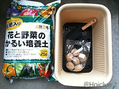 プランターでじゃがいもを育てよう〜家で余ったじゃがいもで簡単栽培〜 プランターでじゃがいもを育てよう〜家で余ったじゃがいもで簡単栽培〜