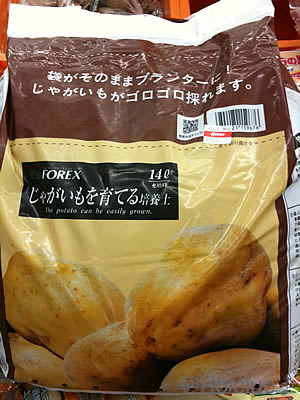 写真4 写真4