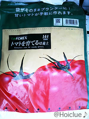 写真5 写真5