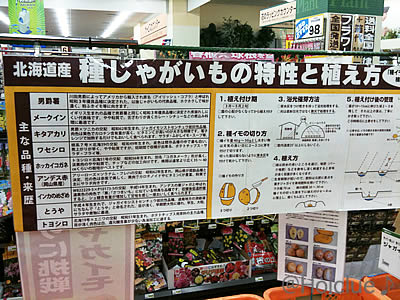 写真2 写真2
