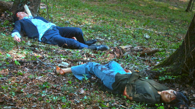 ひと夏の共犯者