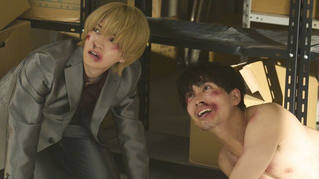 マトリと狂犬