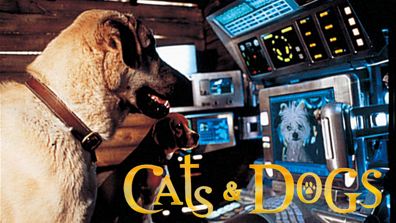 キャッツ ドッグスのレンタル 予告編視聴 クランクイン ビデオ