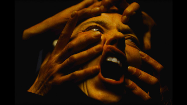 イマキュレイト 聖なる胎動