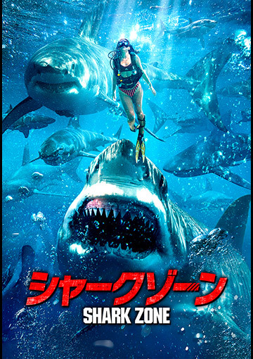シャークゾーン