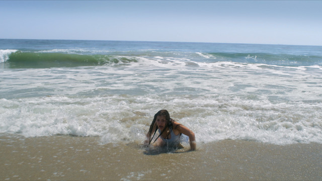 シャーク・アイランド