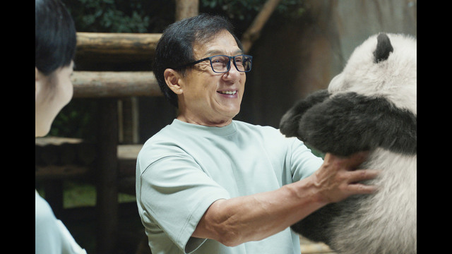 パンダプラン