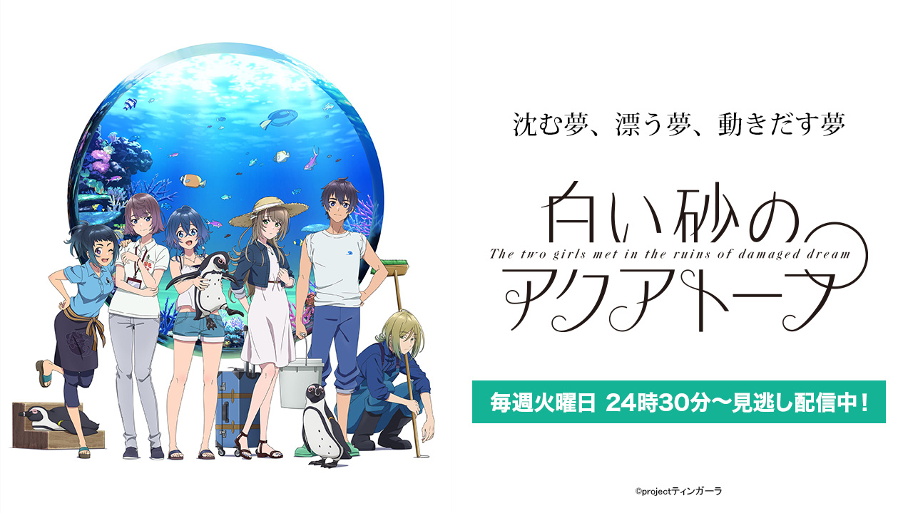 クランクイン ビデオ アニメ