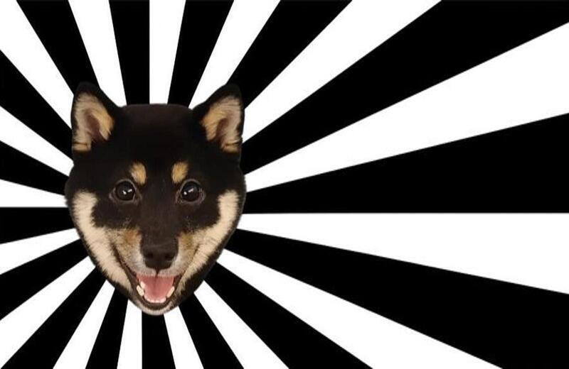 豆柴倶楽部｜予約トップページ