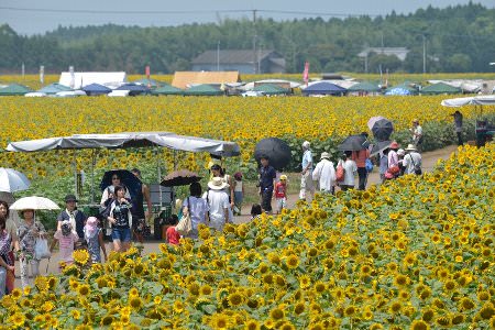 染ケ岡地区環境保全協議会