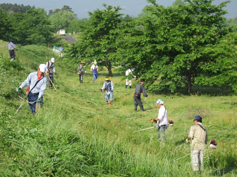 ふるさとの川・荒川づくり協議会