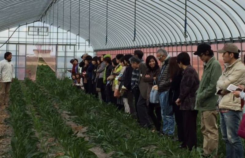 かほくイタリア野菜研究会