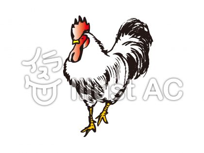 フリー素材 鶏 のイラスト Sozai Navi