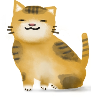 chestnut cat, JPEG, PNG and AI chestnut cat, cat, cafe color, chestnuts, JPEG, PNG and AI
