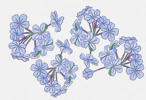 藍花丹插圖, JPEG 藍花丹插圖, blue flower, flower, summer, JPEG