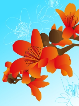 木棉花, JPEG 和 AI 木棉花, 台灣, 台南, 木棉花, JPEG 和 AI