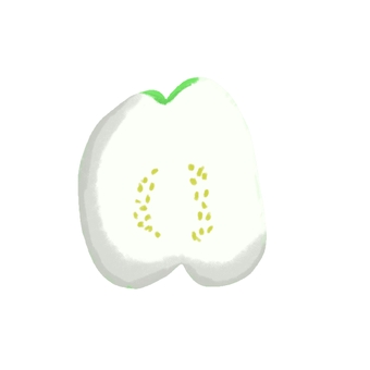 half the guava, illustration, plant, fruits, JPG and PNG