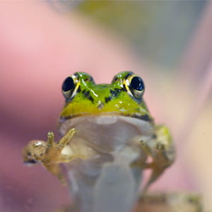 CG_c04_photo_05