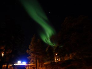 9.9aurora
