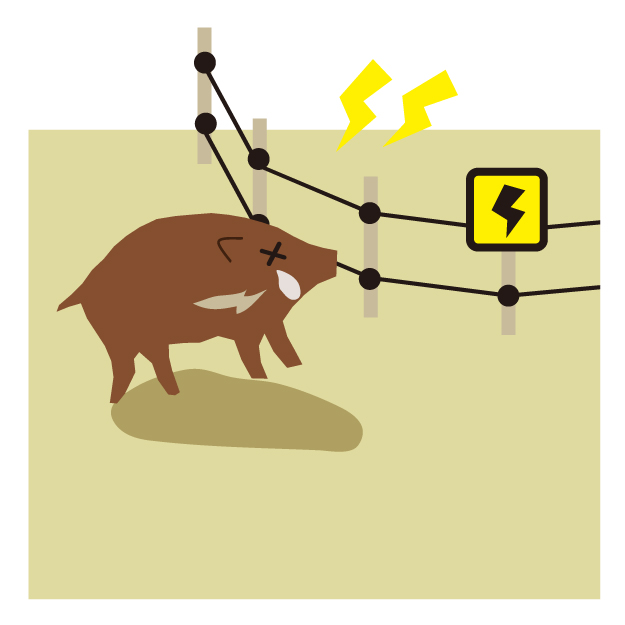 ワイヤーメッシュ柵と電気柵の併用はイノシシから田んぼを ...