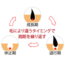 医療脱毛の仕組み