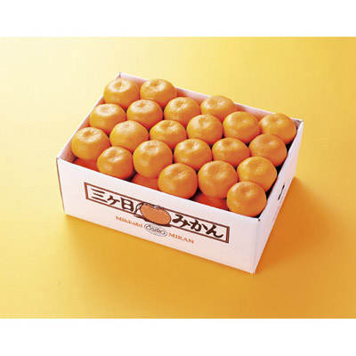 三ヶ日みかん