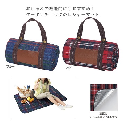 チェックレジャーラグマット 