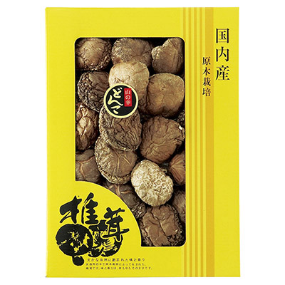 国産どんこ椎茸