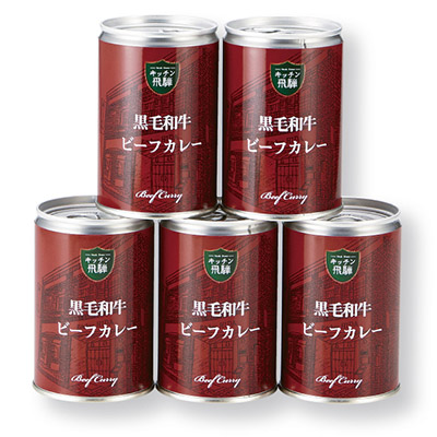キッチン飛騨　黒毛和牛ビーフカレー中辛
