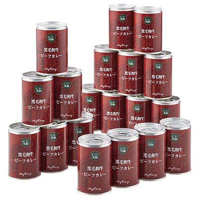 キッチン飛騨　黒毛和牛ビーフカレー中辛