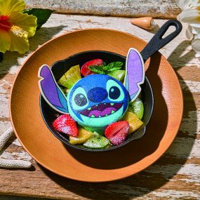 stitch_L1200517