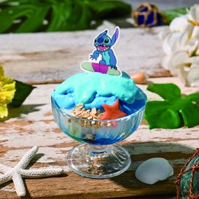 stitch_L1200519