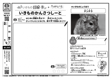 表現あそび いきもの観察シート 一覧 すき がみつかる 放課後たのしーと 表現あそび いきもの観察シート 一覧 すき がみつかる 放課後たのしーと