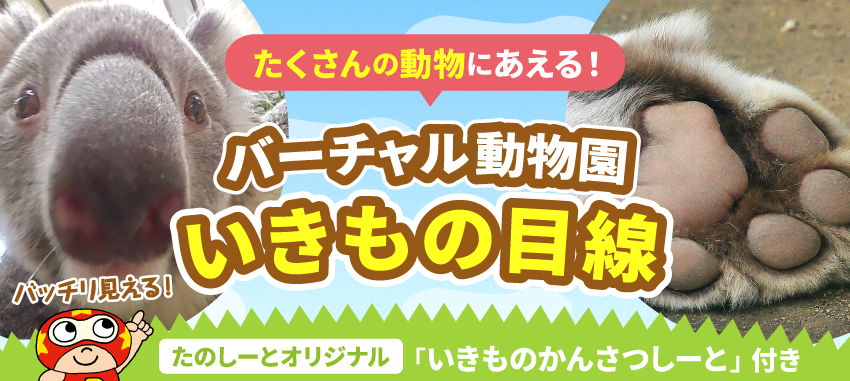 すき がみつかる 放課後たのしーと