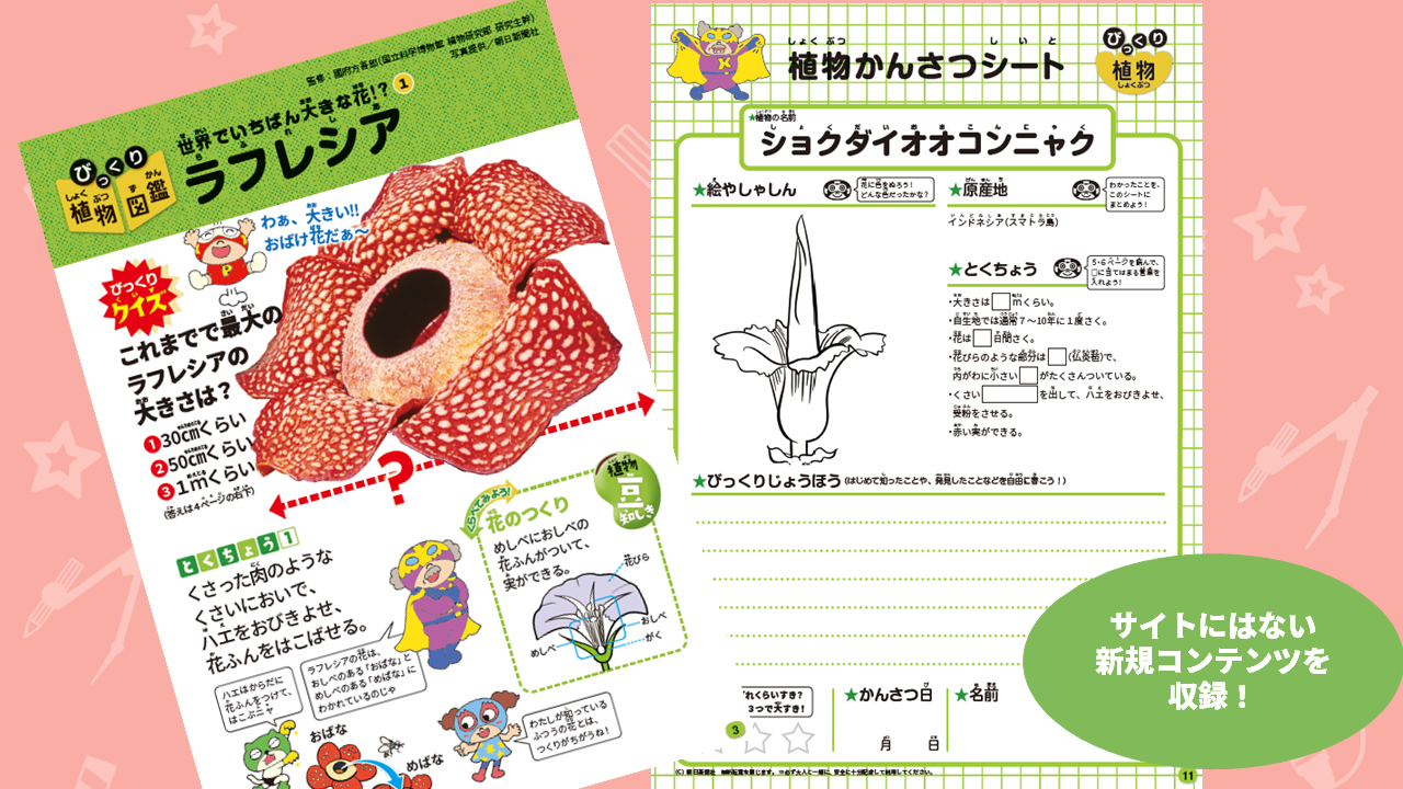 長期休みにじっくり取り組みたい たのしーとbook あそびながら学べる 自由研究 工作 好評発売中 すき がみつかる 放課後たのしーと