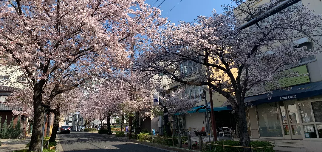 芦屋縁のイメージ画像4
