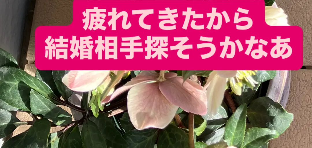 marriage AOKI (マリッジ アオキ)のイメージ画像5