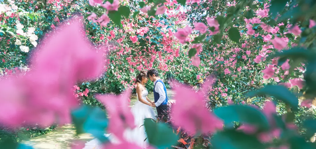 MAASA結婚相談所のイメージ画像5