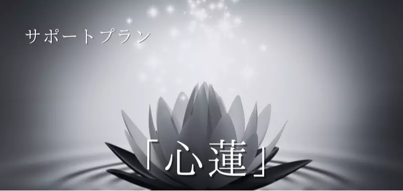 Peaceful Marriageのイメージ画像3