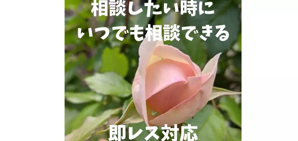 ブライダルサロン　Ekos　Gardenのイメージ画像4