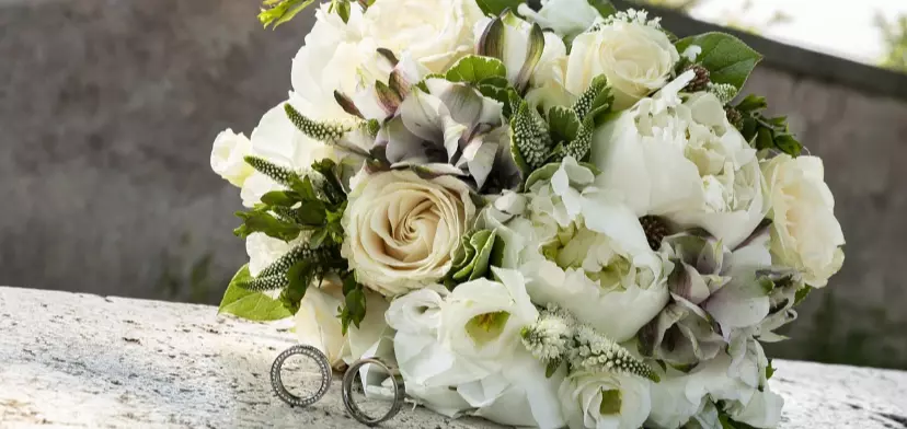 ピッコラ ・ドンナのイメージ画像2